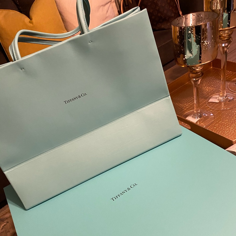 brand new tiffany & co tote bag so cute!